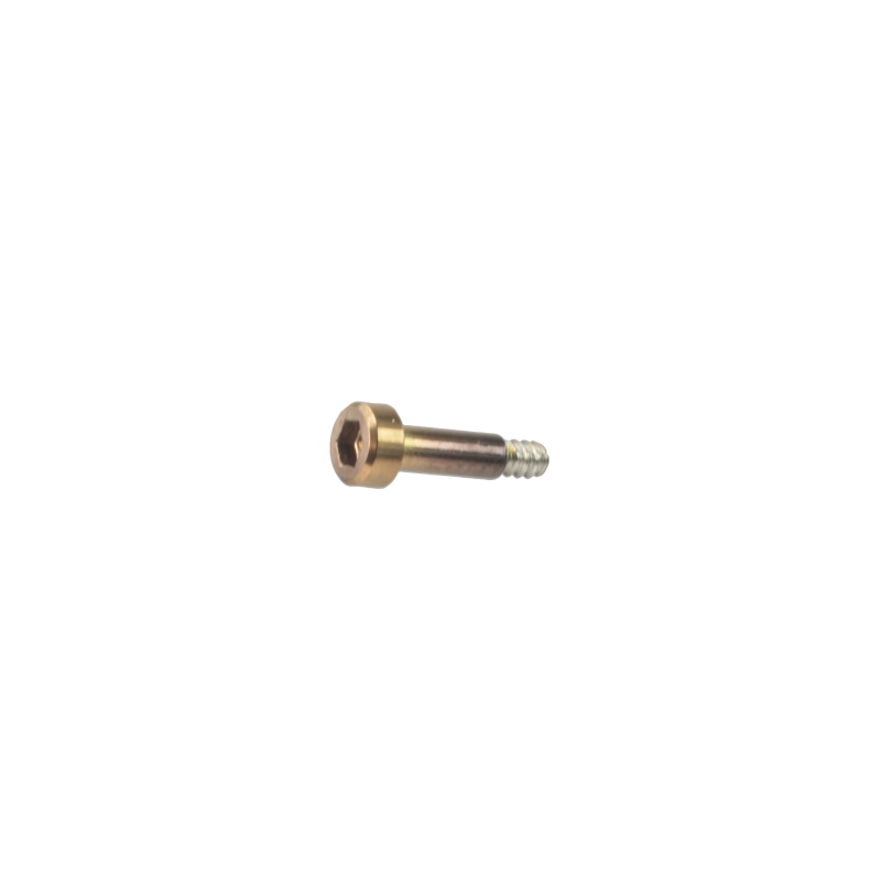 Brass 3H bezel screw for Casio GBD-H1000-4A1  10625486