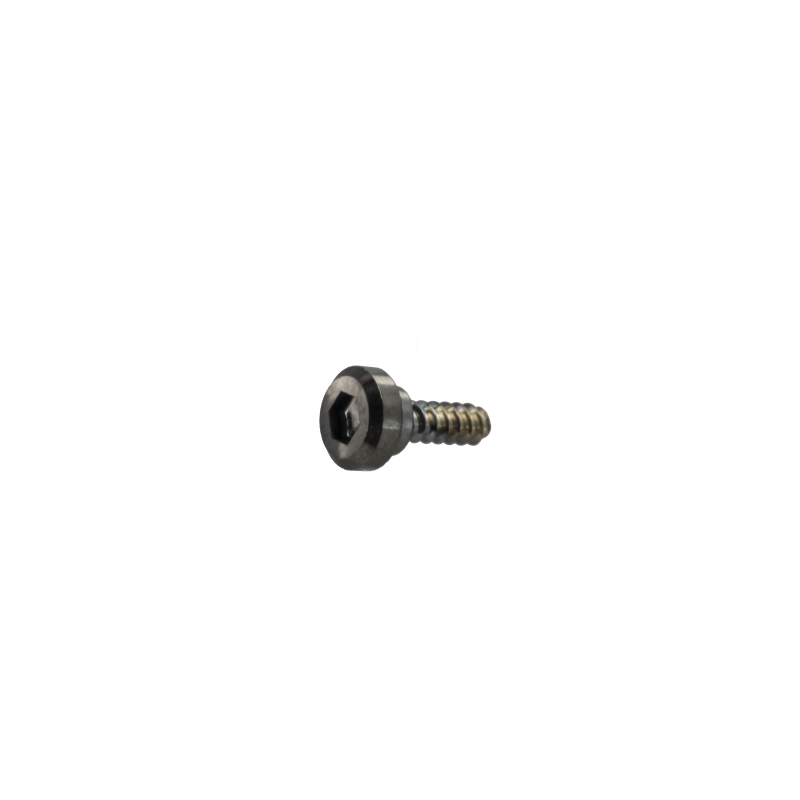 Casio BEZEL SCREW (1H/5H/7H/11H) for GWG-2000TLC-1A 10639106