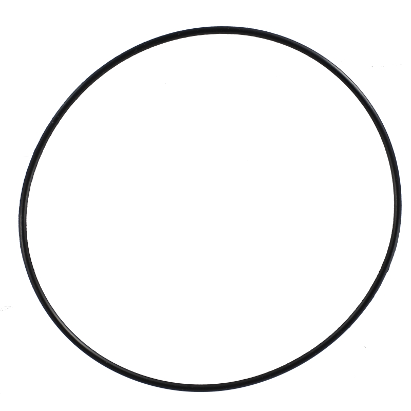 O-ring for Casio DW-6700-1V 74210941