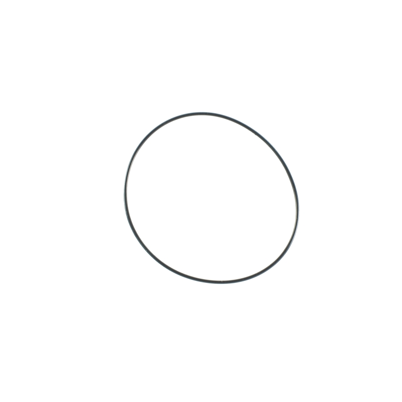 O-ring for Casio EFR-554SG-2AV 10517736