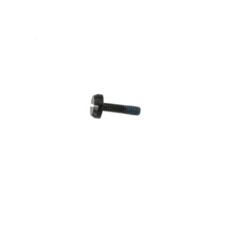 Casio male SCREW for GMW-B5000G 10621767