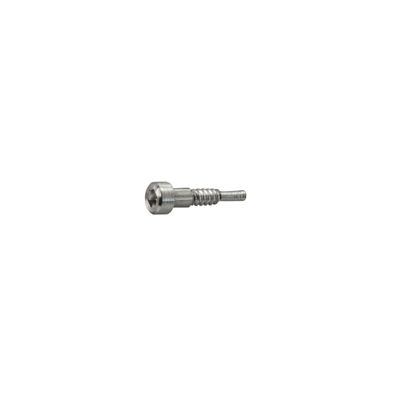 Casio DECORATIVE SCREW 3H for GR-B200-1A9 10612464