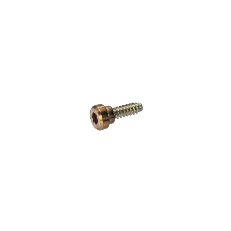 Brass top bezel screw for Casio GBD-H1000-4A1 10625473