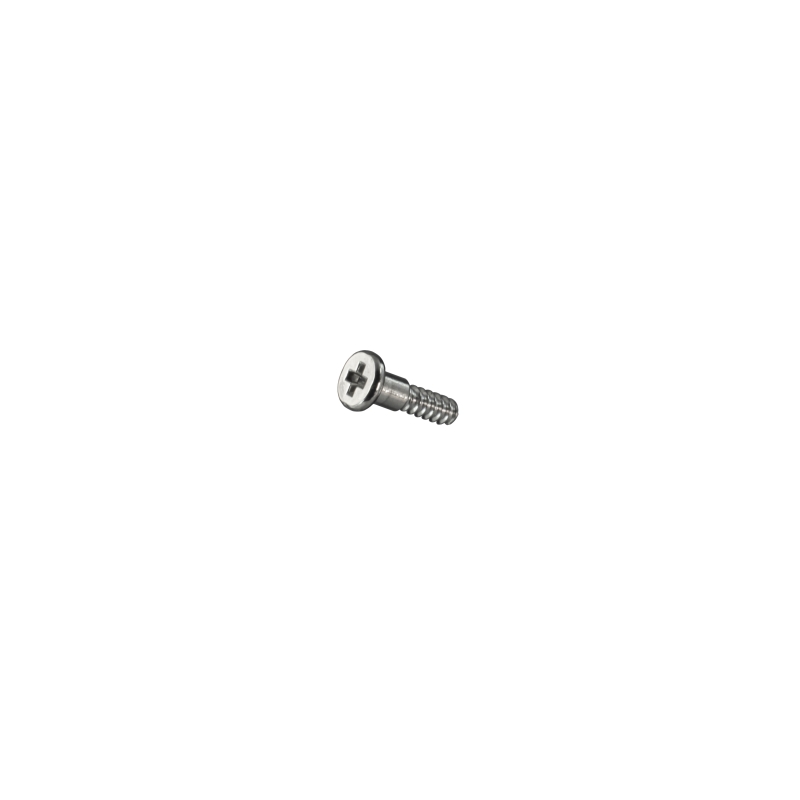 Decorative screw for Casio GG-B100-8A 10592365