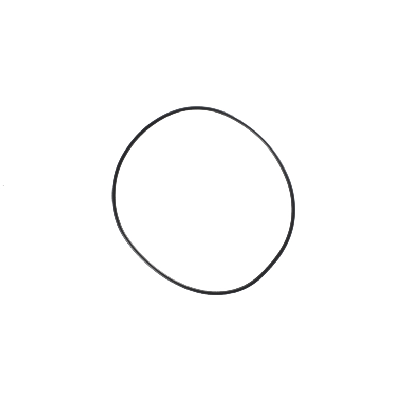 O-ring for Casio ECB-800TR-2A 10338766