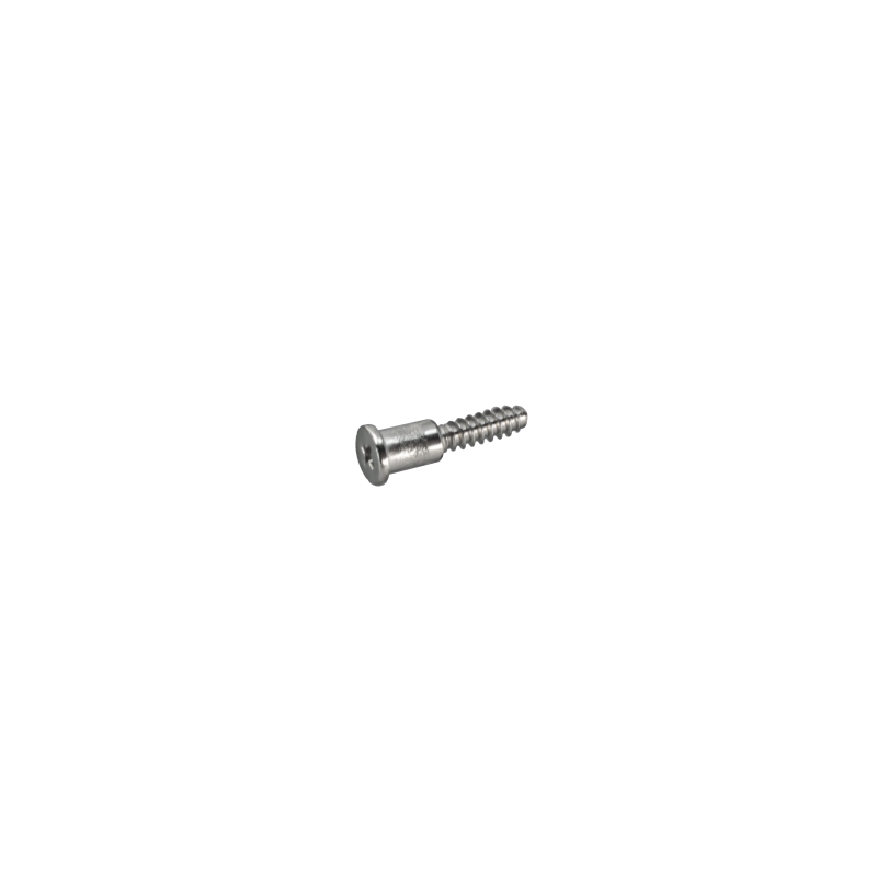 Casio SCREW 11H for PRG-250-1 10365697