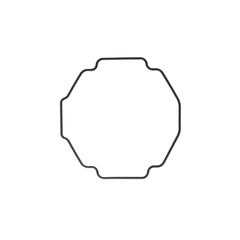 O-Ring for Casio GBD-H1000-7A9 10601949