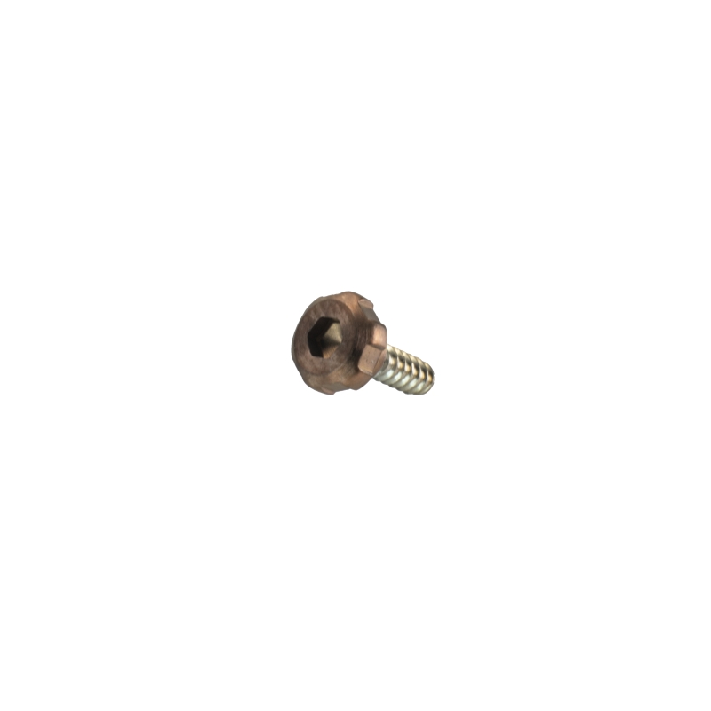 Gold bezel screw for Casio GPR-B1000TF-1 10577930