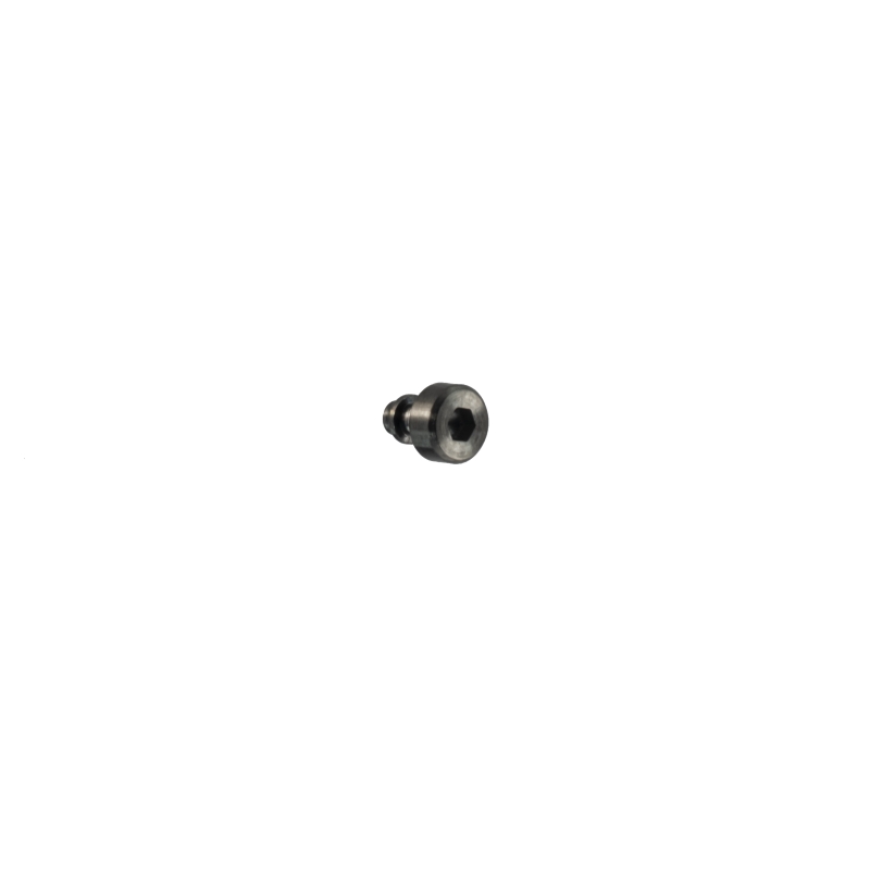 Decorative piece for Casio GBD-100-1 10606259