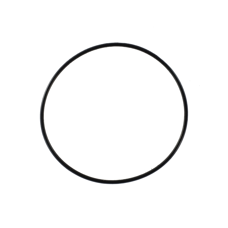 Casio O-RING for GW-M5610 10245496