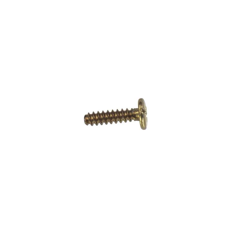 Casio gold BACK SCREW for GA-100 10264404