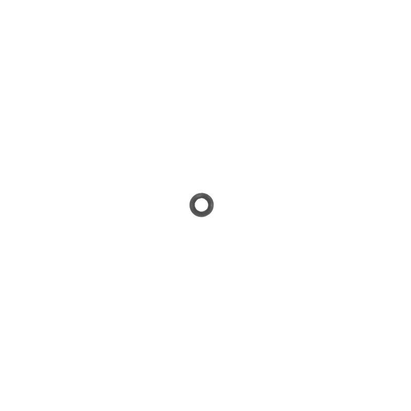 Casio SENSOR O-RING for GBD-H2000-2 10591937