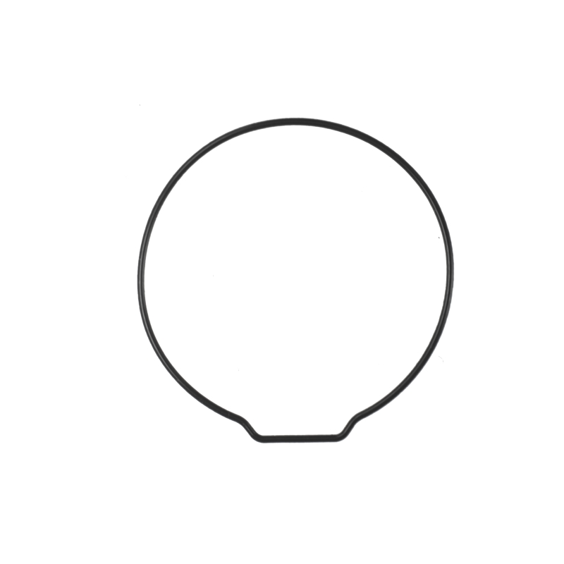 Casio O-RING for GA-810GBX-1A9 10552587