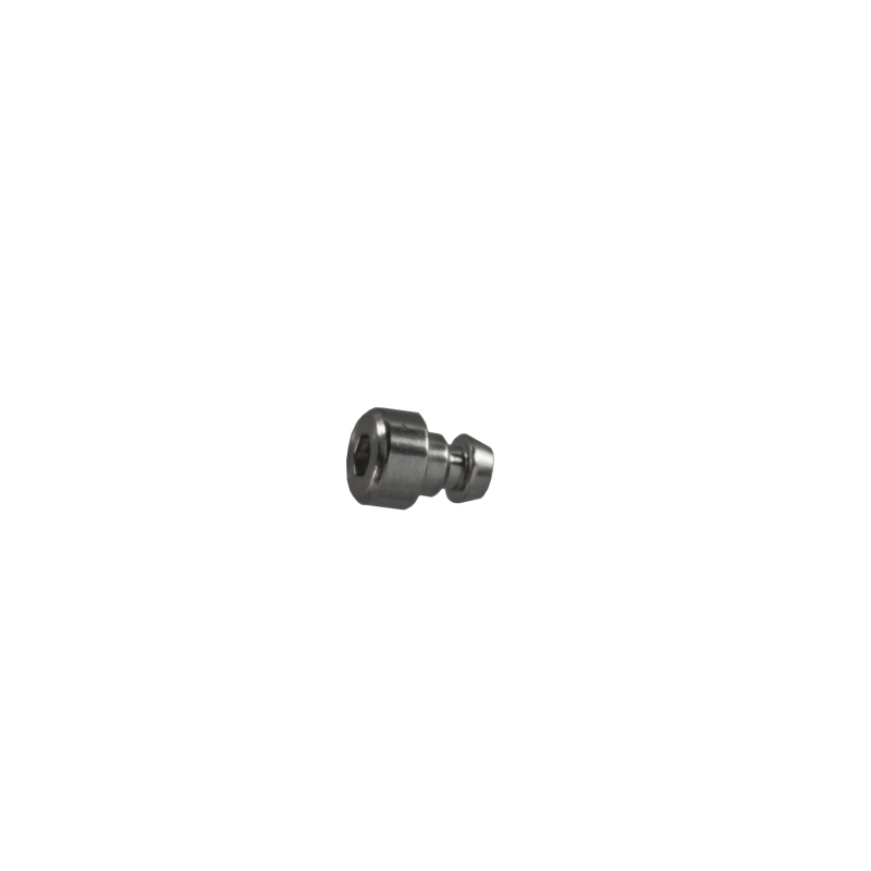 Decorative piece for Casio GA-2200GC-7A 10627963