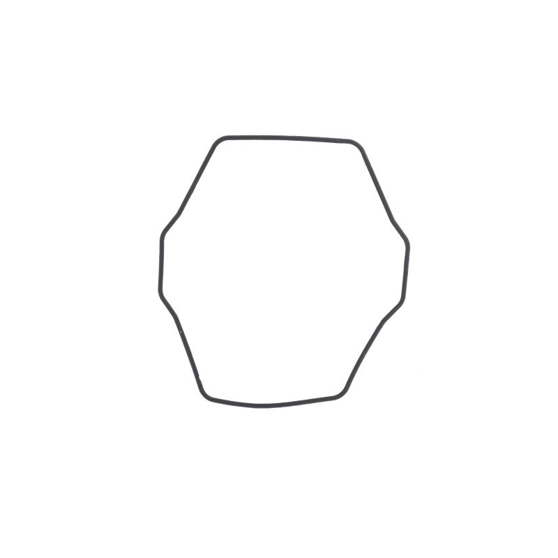 Casio O-RING for GWG-2000-1A5 10630744