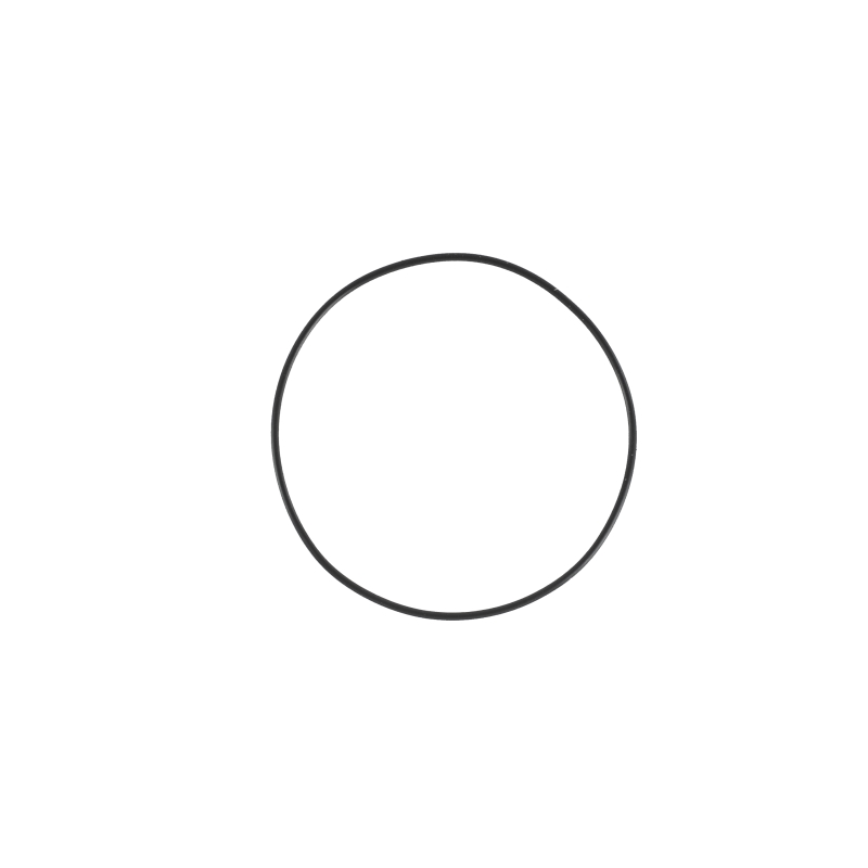 O-ring for Casio MRG-B5000R-1 10562126