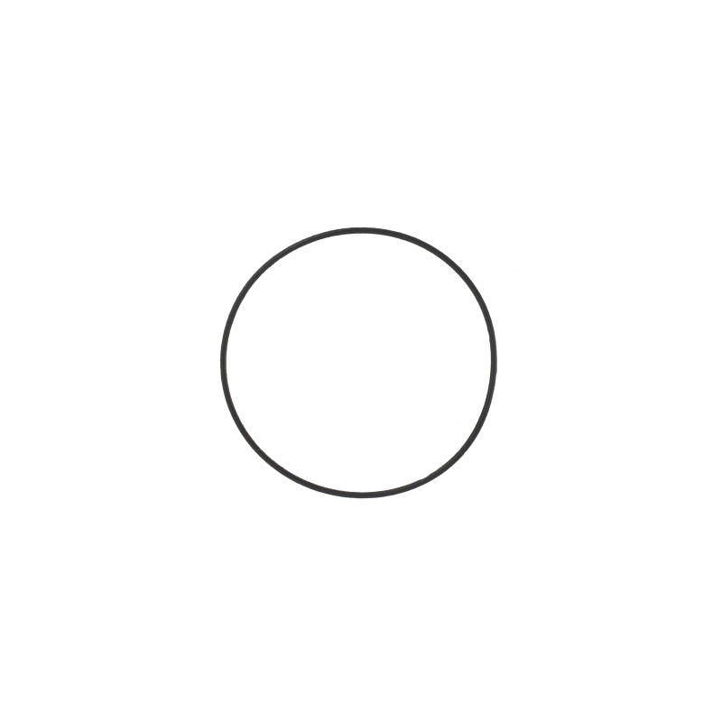 O-ring for Casio MTG-1500B-1A5 10283314