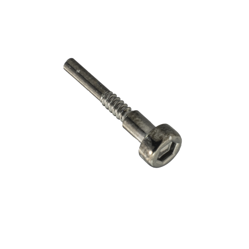 Casio SCREW BOLT for GWG-1000 10504549