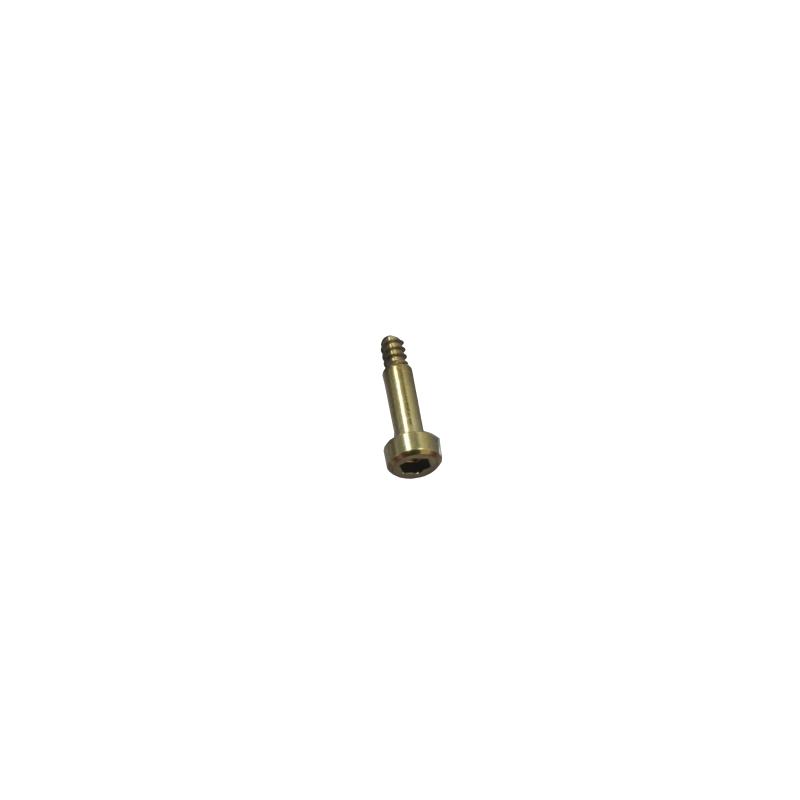 Gold 3H bezel screw for CAsio GBD-H1000BAR-4 10635052