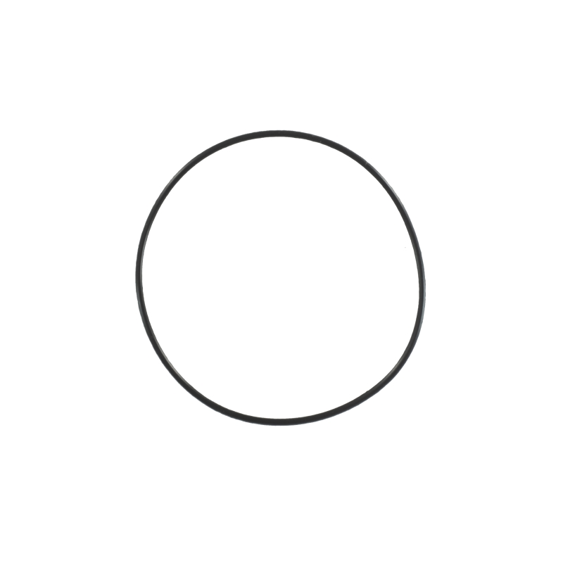 Casio O-RING for MRG-7000DJ-1A 74212971