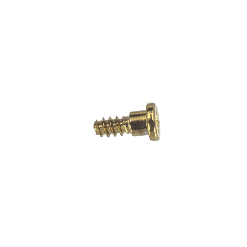 Casio gold BEZEL SCREW for DW-5700BBMB-1 10243594