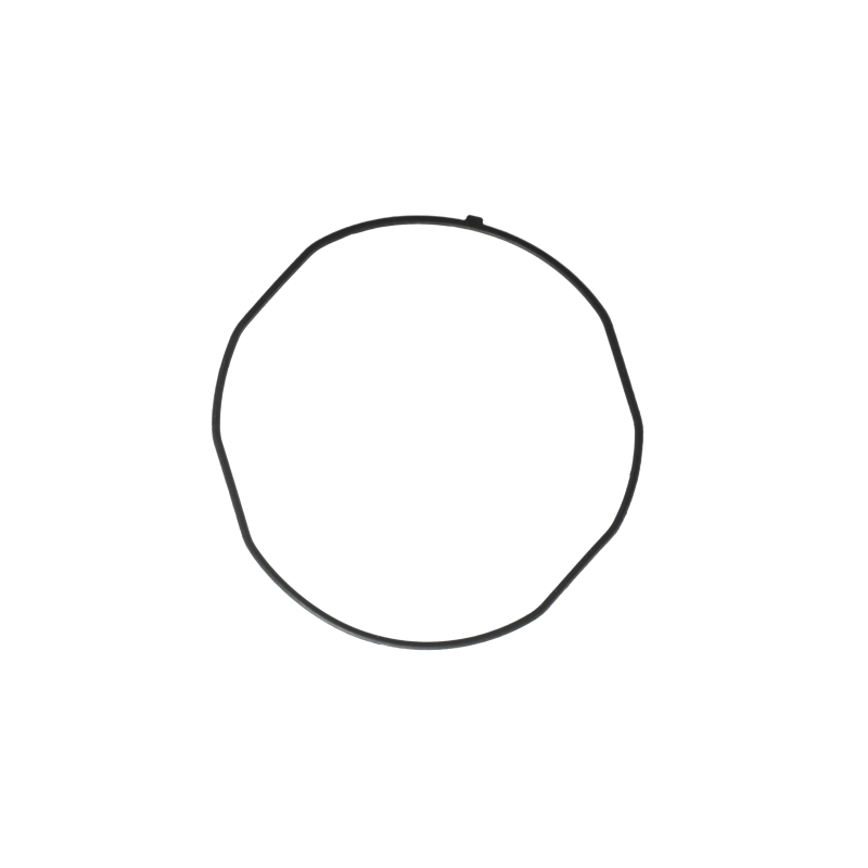 Packing/O-ring for Casio GBD-H1000-8 10608606