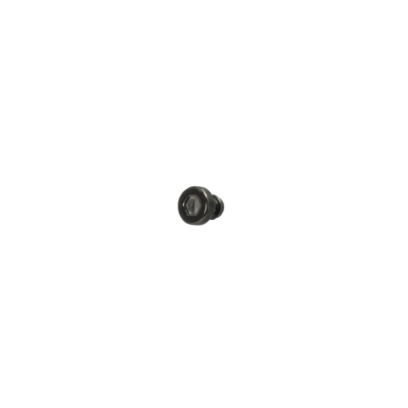 Casio black BEZEL SCREW for GA-2000E-4 10584151
