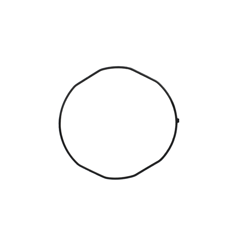 Packing/O-ring for Casio GBD-H1000-4A1 10616570