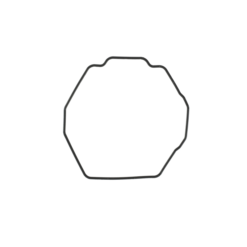 O-ring for Casio GWG-B1000-1A4 10662146