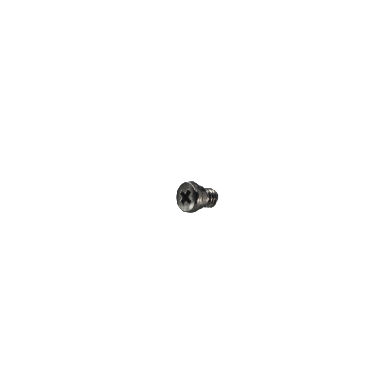 Casio BEZEL SCREW 3H/9H for GS-1000D-1A 10287202