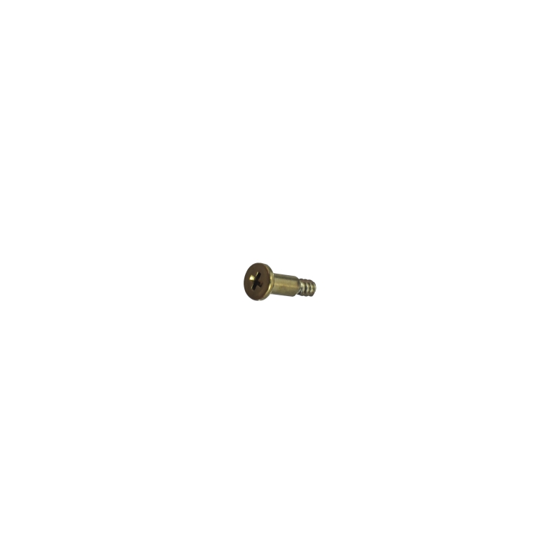 9H gold bezel screw for Casio GBD-H1000BAR-4 10635053