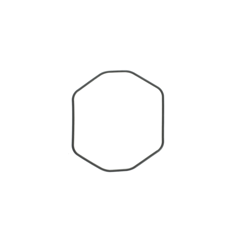 O-ring for Casio PRG-100T-7V 10242431