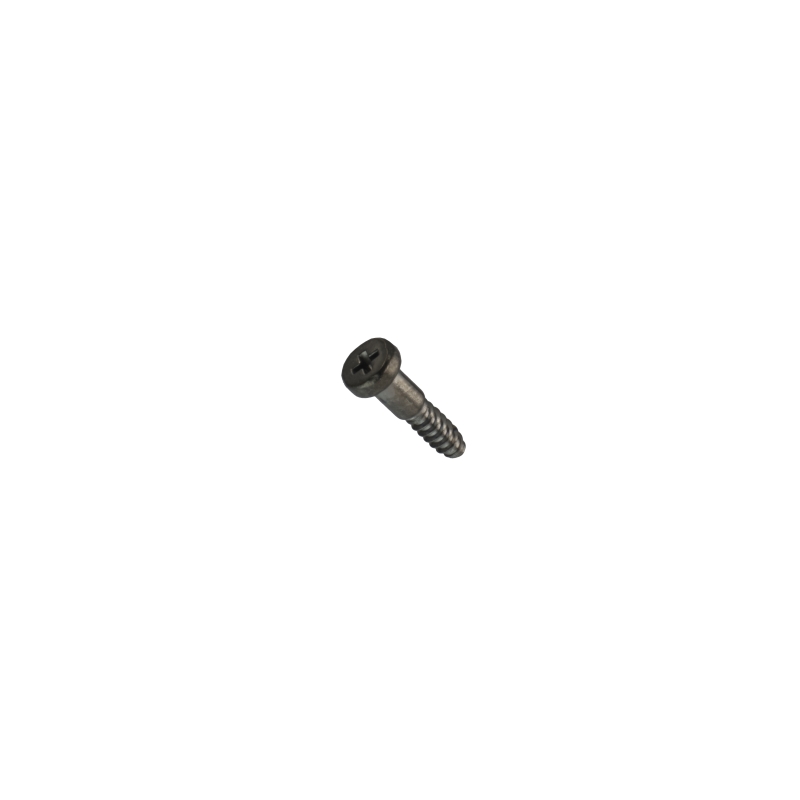 Casio Cover End screw for PRG-340SC-5 10642216