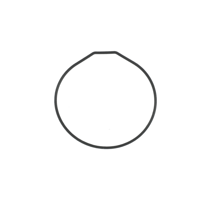 Casio O-RING for BG-169-2V 74212782