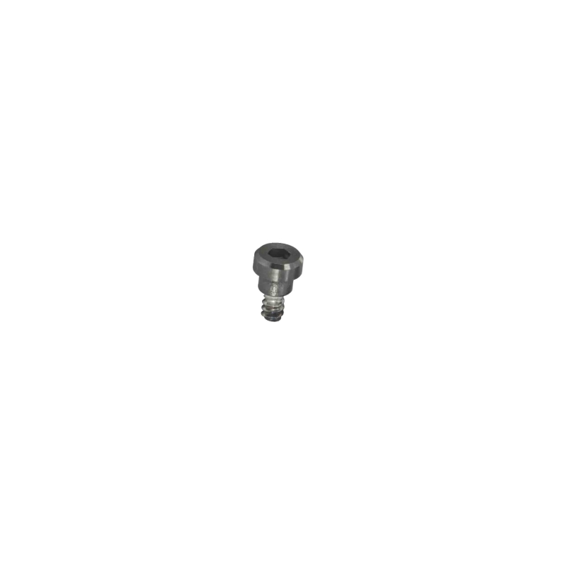 Casio BEZEL TOP SCREW 2H 4H 8H 10H for GBD-H2000-1A 10646401