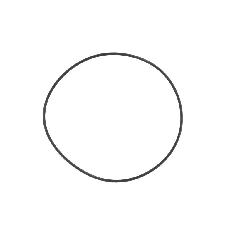 O-ring/packing for Casio AMW-103D-7AV 74210752