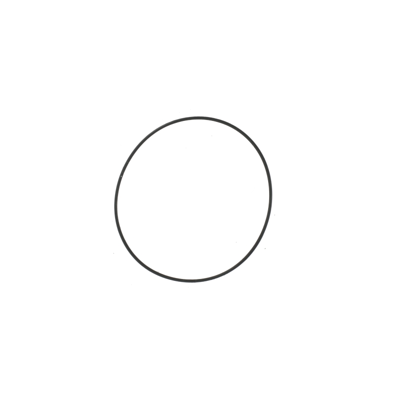 O-ring for Casio SWC-06-1V 74207539