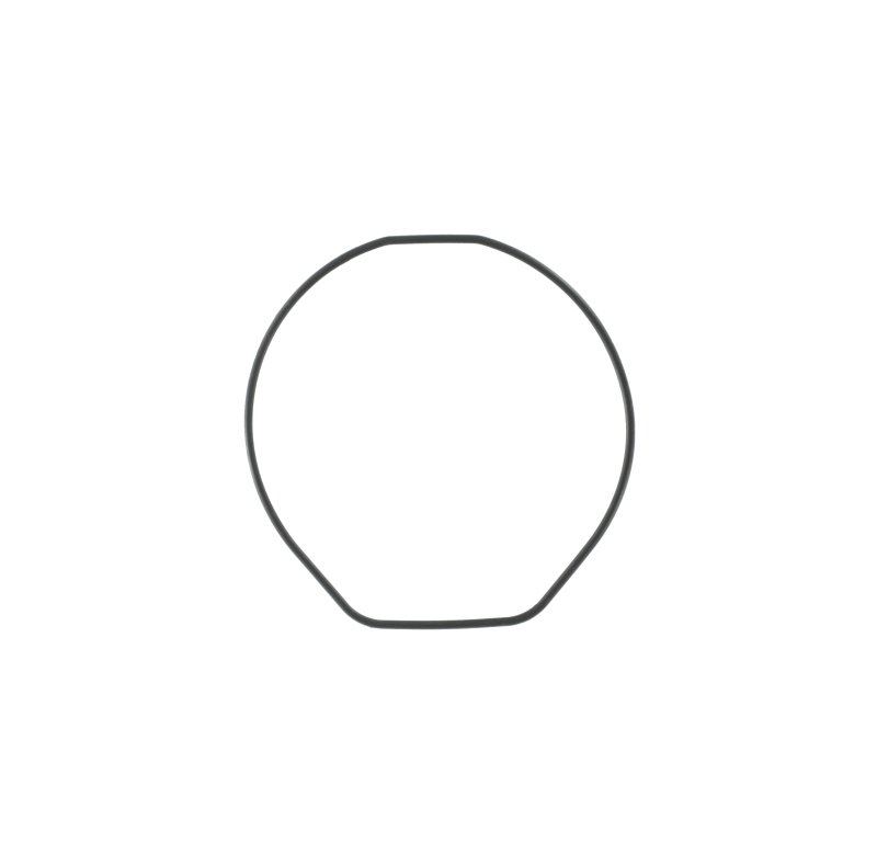 Casio O-RING for GB-6900B-1 10453489