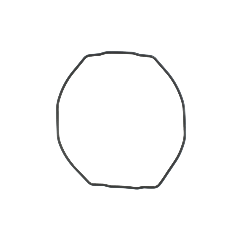 O-ring/Packing for Casio GWN-1000H-9A 10473556