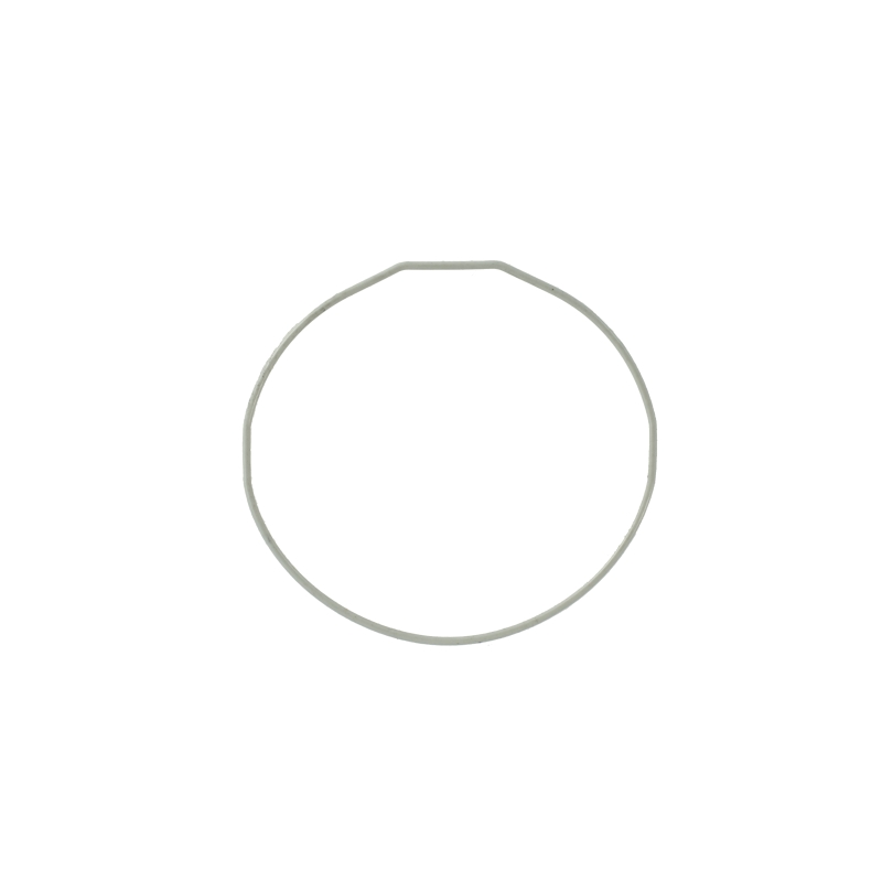 Packing/O-ring for Casio GST-B100GC-1A 10549210